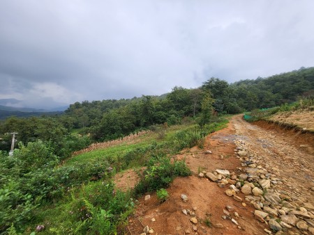 Mảnh đất đầu tiên có sổ đỏ tại Y TÝ, sang tên được luôn, giá bất ngờ chỉ có trong ngày hôm nay