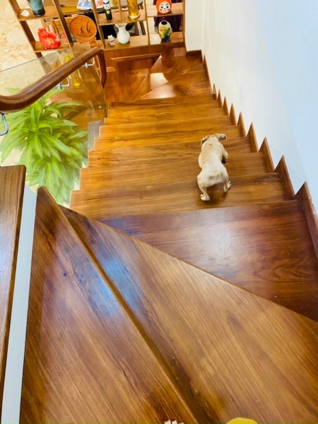 Bán nhà Khương Trung, Thanh Xuân 45m2, 4 tầng, hai thoáng chỉ nhỉnh 2 tỷ