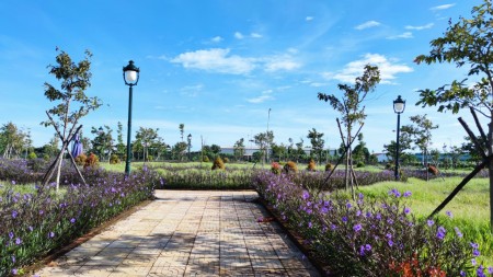 Đi đến slide 7