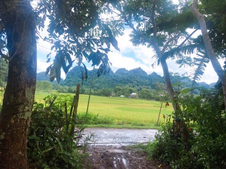 Đi đến slide 5