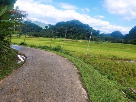 Đi đến slide 2
