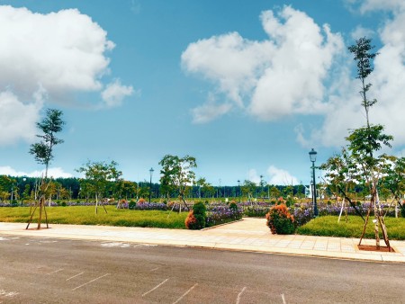 Đi đến slide 5