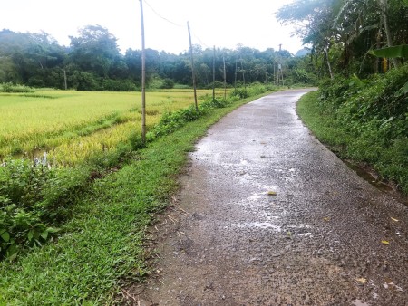 Đi đến slide 6
