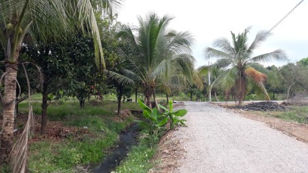 Bán lô đất 1000m2 đất vườn trong khu dân cư gần Quốc Lộ 1A, giá bán chỉ 1.3 tỷ, bàn giao ngay