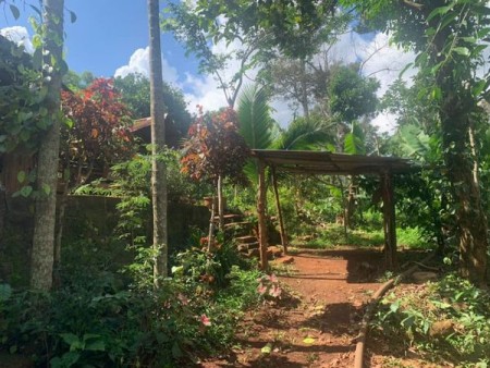 Gia chủ cần tiền nên bán lô đất View suối ở EaTu giáp p.Tân An Gần dự án ECOCITY vùng mở rộng của Thành Phố