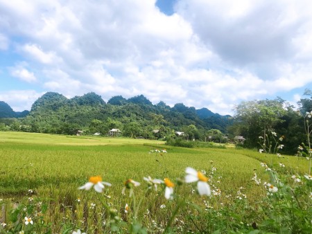 Bán đất nghỉ dưỡng có sẵn nhà sàn tại Tân Lạc giá bán 590 triệu, liên hệ 0946285581