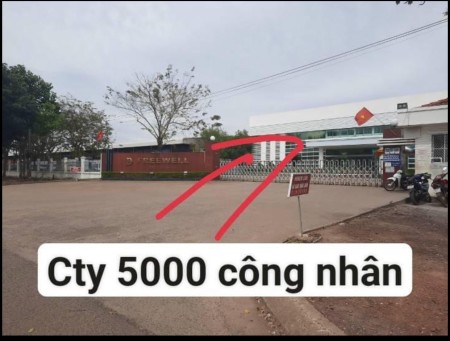 Kẹt tiền bán gấp đất kế bên cty 5000 công nhận đang hoạt động giá 550 triệu, sổ sẵn chính chủ