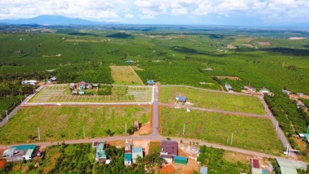 Đi đến slide 8