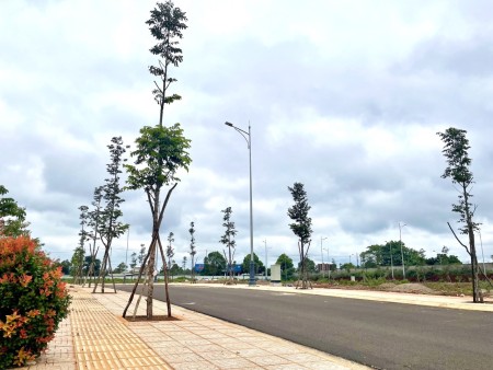 Đi đến slide 5