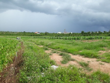 Bán Nhanh Lô 600 M2 Đất Ven Suối Cam Ly, Nam Ban, Lâm Đồng, Giá 720 Triệu