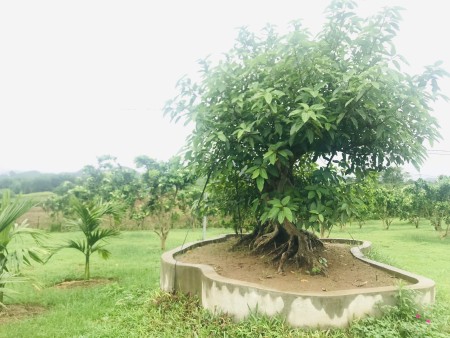 Đi đến slide 4