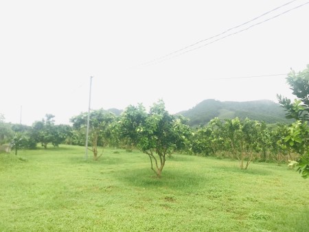 Đi đến slide 7