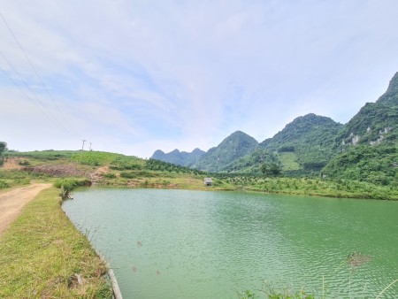 Đi đến slide 8