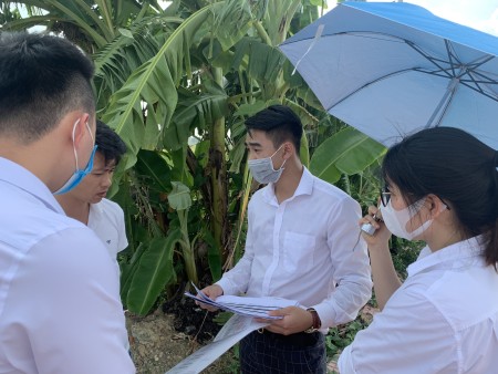 Đi đến slide 4