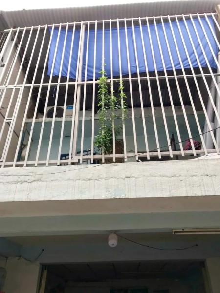 Bán nhà chính chủ Mặt tiền tới 4,6m Tân Bình diện tích sử dụng 98m2 giá bán 4,3 tỷ