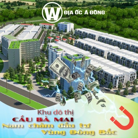Dự án Asc cầu bà mai móng cái quảng ninh