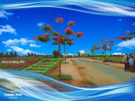 Đi đến slide 6