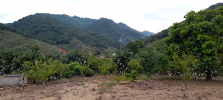 BÁN ĐẤT KHU MƯỜNG SANG MỘC CHÂU, GẦN KHU DU LỊCH THÁC DẢI YẾM, DT: 3000M2, GIÁ VÀI TRĂM NGÀN/M2