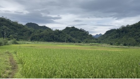 Đi đến slide 7