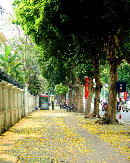 Đi đến slide 2