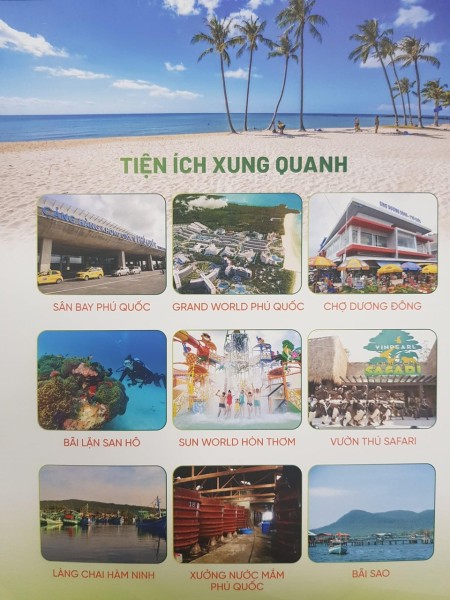 Đi đến slide 7
