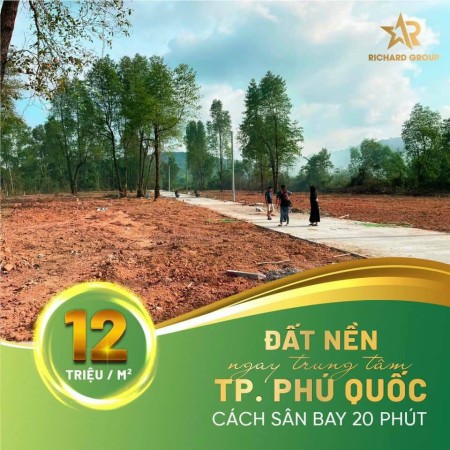 Đi đến slide 11