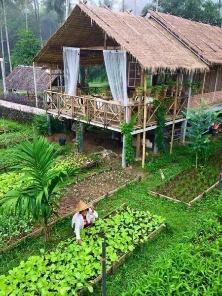 Sổ hồng riêng từng nền - Công chứng ngay chỉ có tại Panamera khu dân cư hiện hữu