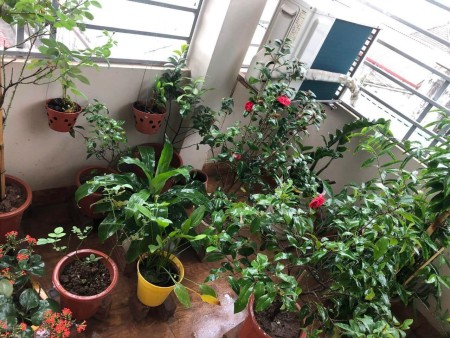 Bán nhà 5 tầng mới đẹp full nội thất vào ở ngay, khu trung tâm Quận Đống Đa, ngõ thông tứ tung