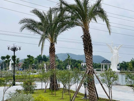 Bán nhanh 2 lô View hồ tại dự án Danko City Thái Nguyên đường lớn, liên hệ 0966756893