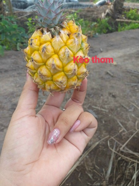 Đi đến slide 3