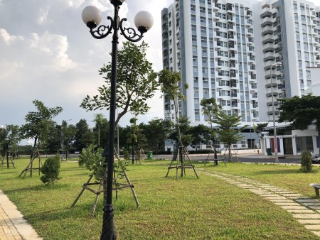 Đi đến slide 7