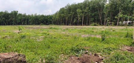 Đi đến slide 8