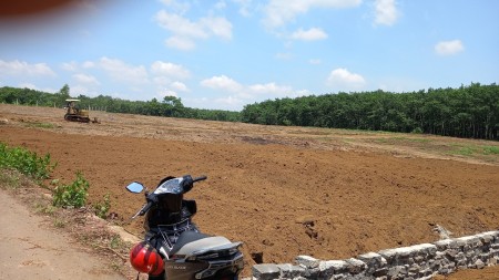 Cần bán 1 sào đất huyện Trảng Bom giá 1ty 500tr... 37 mét mặt nhựa đầu tư sinh lời cao