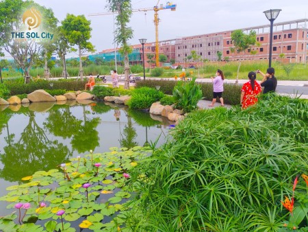 Đi đến slide 7