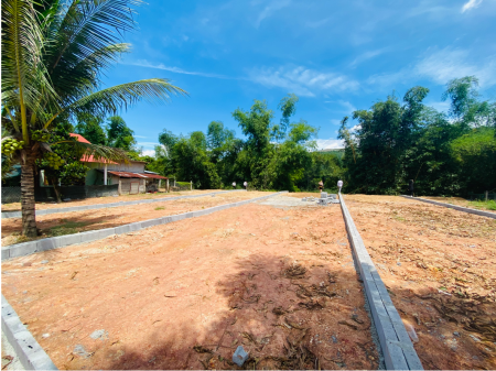 Đi đến slide 6