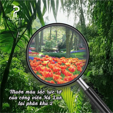 PANAMERA đất nền Bảo Lộc sổ hồng từng lô full thổ cư chỉ từ 999tr (150m2 - 300m2)
