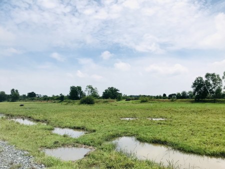 Đất Phước Hiệp, huyện Củ Chi, diện tích sử dụng 600m2, sổ hồng riêng công chứng ngay
