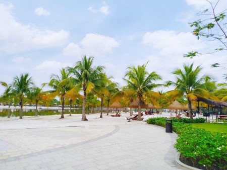 Đi đến slide 8