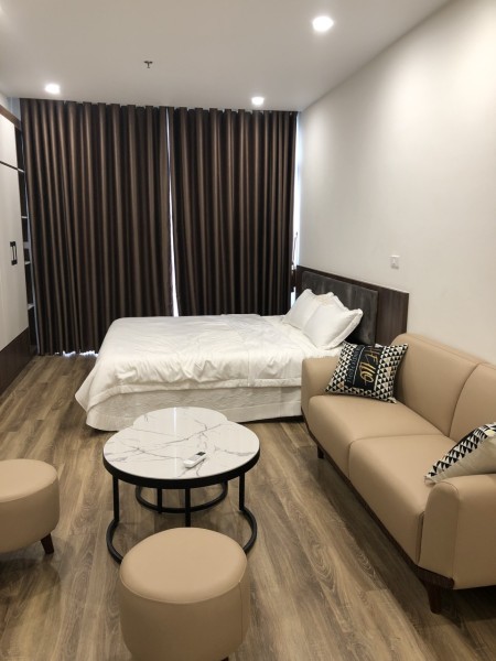 Mời thuê căn hộ cao cấp The City Light Vĩnh Yên, đầy đủ tiện ích, bàn giao vào ở được ngay