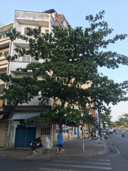 Đi đến slide 3