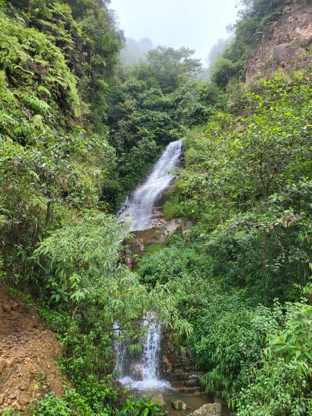 Đi đến slide 3