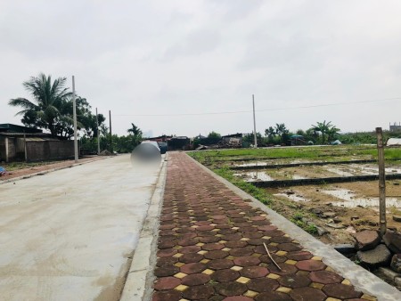 Bán nhanh đất đấu giá X6 Tiên Kha,- Tiên Dương - Đông Anh, giá tốt đầu tư, pháp lý chuẩn