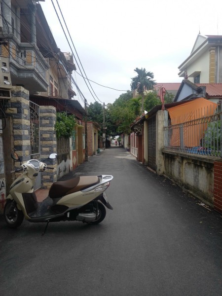 Cơ hội đầu tư sinh lời cao bất động sản tại Thuận Thành, liên hệ xem đất 0981655991