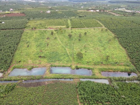 Cần bán đất chính sách ưu đãi, giá bán 400 triệu/nền diện tích 80m2, pháp lý đúng chuẩn