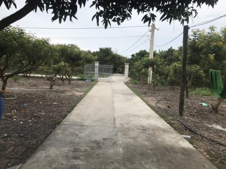 Bán đất vườn gia đình đang ở có sổ hồng riêng giá bán 3.425 triệu/m2, pháp lý chuẩn