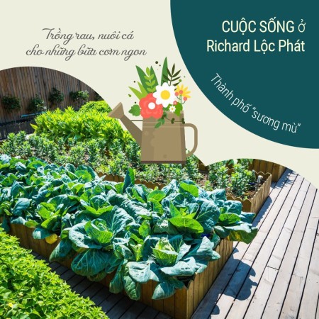 Thành phố Bảo Lộc điểm đến của các nhà đầu tư giá bán 8.8 triệu/m2, pháp lý chuẩn
