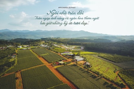 Đi đến slide 6