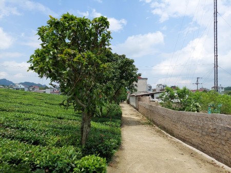 Đi đến slide 2