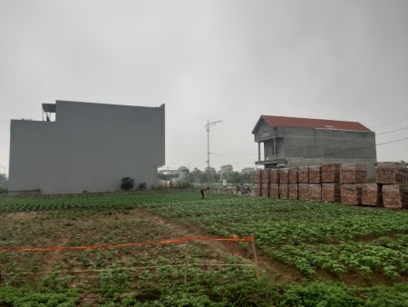 Bán đất chính chủ khu dân cư mới cầu phượng tường, Nhật Tân, Tiên Lữ, Hưng Yên