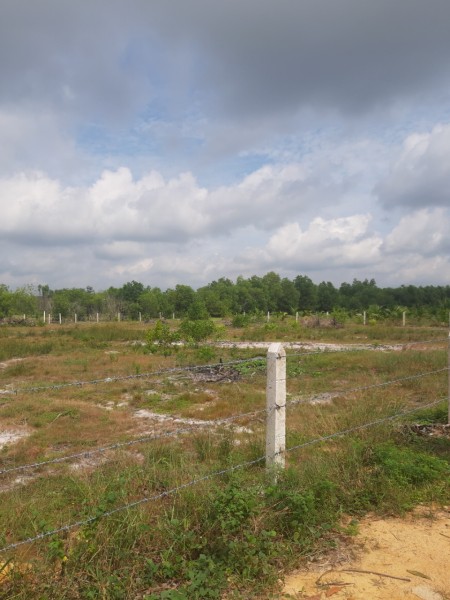 Chính Chủ Bán diện tích sử dụng 3000m2 đất gần biển giá bán 7.41 tỷ, bán giao sổ sẵn
